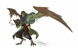 Aarakocra mage